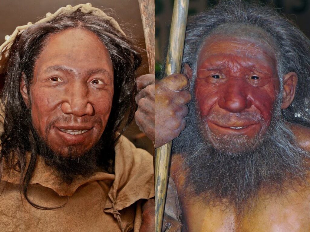 Homo sapiens y Neandertal