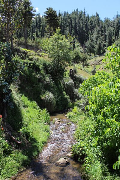 granja porcon Cajamarca Granja Porcón (Cajamarca, Perú)